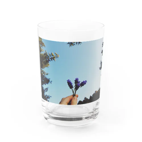 庭の花 Water Glass