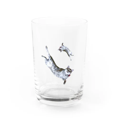 飛べ！ほごにゃん Water Glass