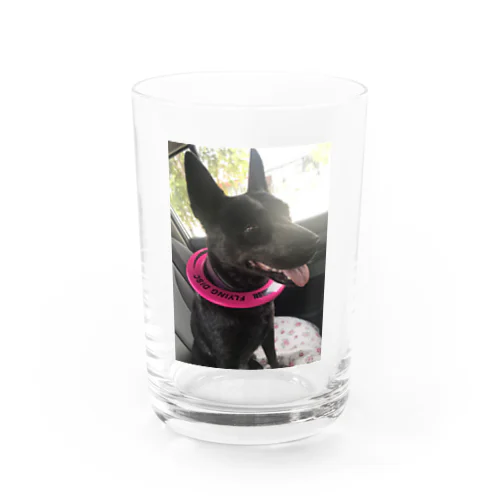 フリスビー犬ナラ Water Glass