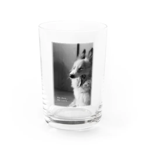 あくび幸太郎 Water Glass