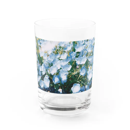 ネモフィラ Water Glass