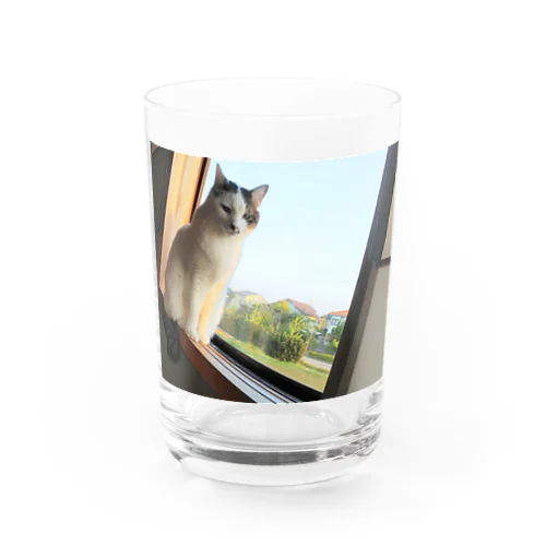 大福 Water Glass