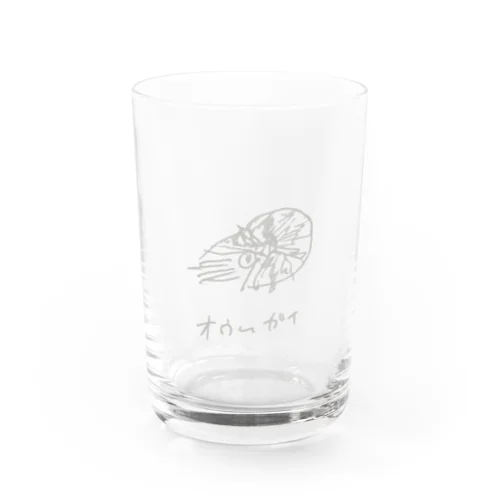 オウムガイ 石灰 Water Glass