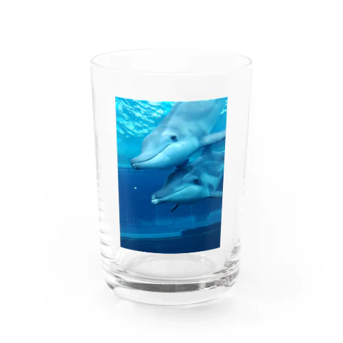 シワハイルカ　イルカ Water Glass