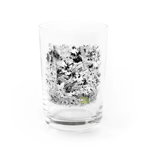 フクロウオウム　カカポ iro Water Glass