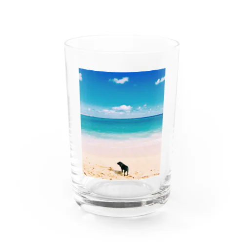 ハワイの思い出 Water Glass