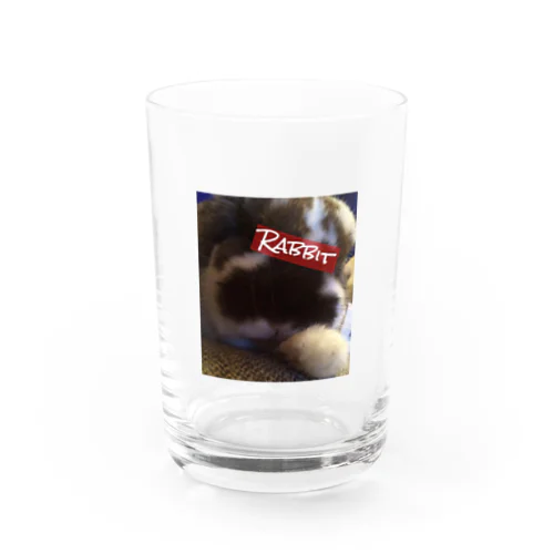 Charisma Rabbit 2 Water Glass