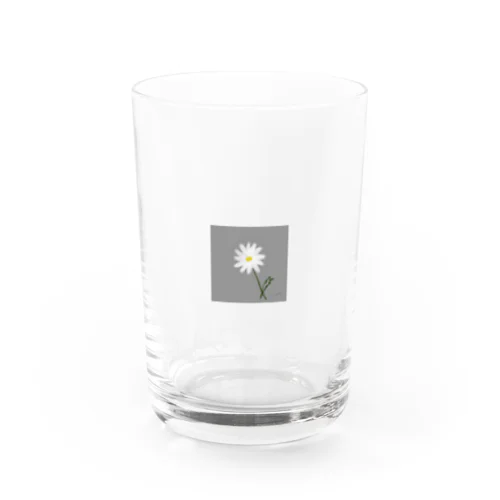 ＊マーガレット＊gray Water Glass