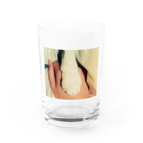 猫の手も借りたい。 Water Glass