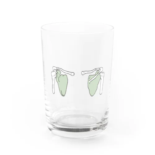 肩甲骨　骨　NO.21 Water Glass