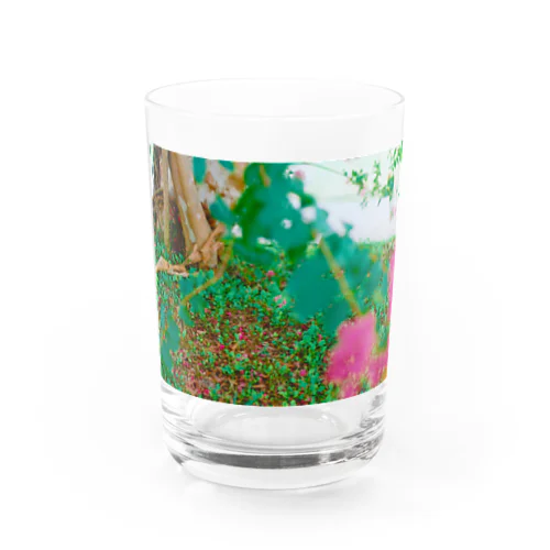 妖精の森 Water Glass