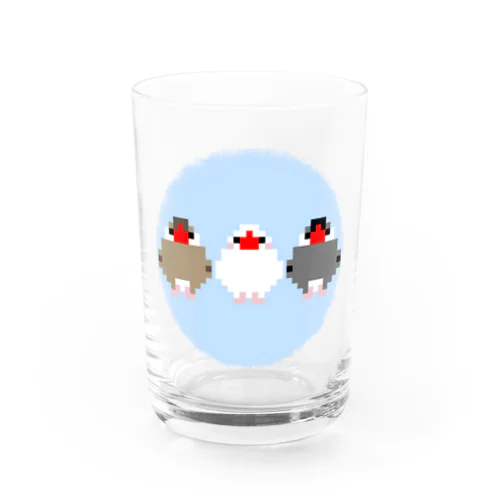 ドット文鳥ズ Water Glass