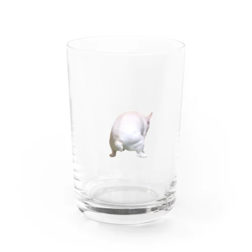 フレンチブルドッグ Water Glass