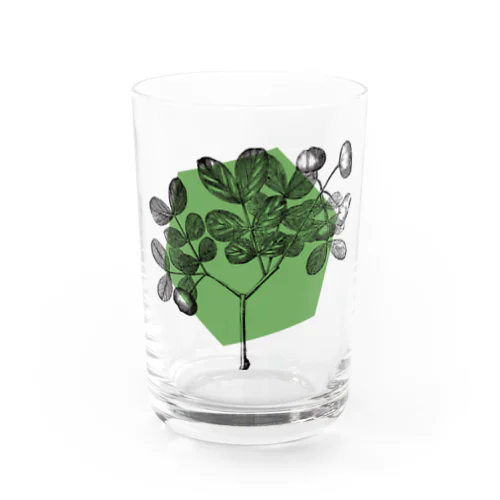 Lignum Vitae Water Glass