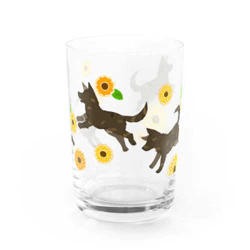 向日葵と甲斐犬 Water Glass