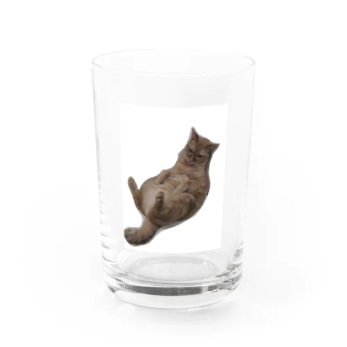 人の家のネコ Water Glass