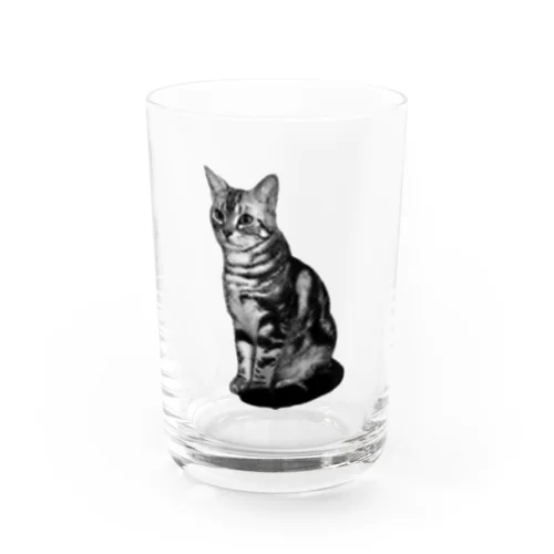 モノクロのマャーちゃん Water Glass