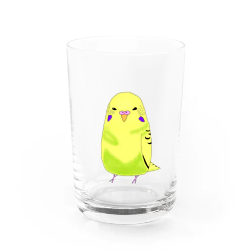 もふもふインコ　けいちゃん Water Glass