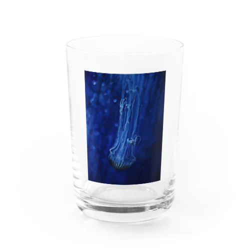 海の仲間_1 Water Glass