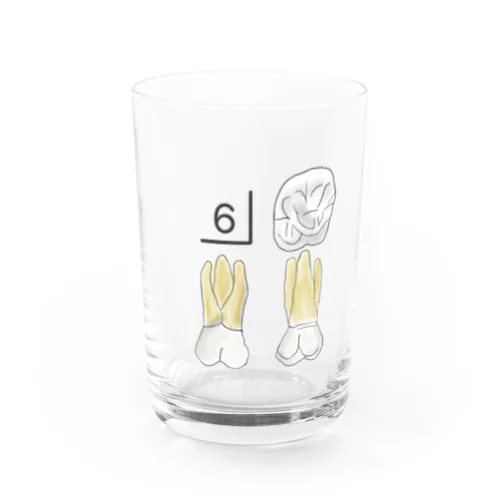 歯右上6番 Water Glass