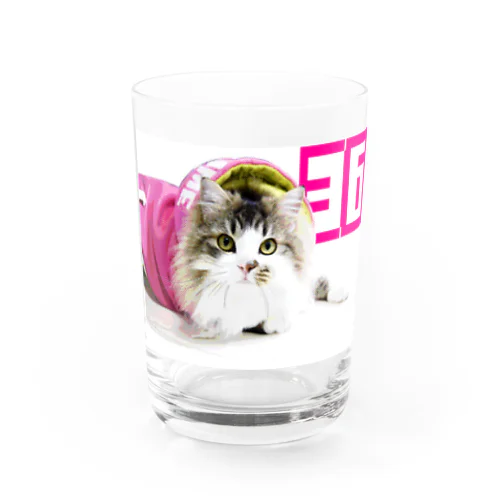 丸ドットモザイクピンクパーカー36CAT Water Glass