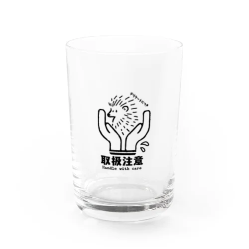 デリケートにつき取扱注意 Water Glass