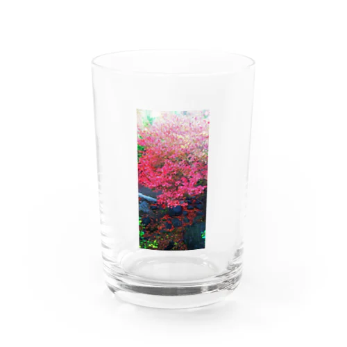 もみじ Water Glass