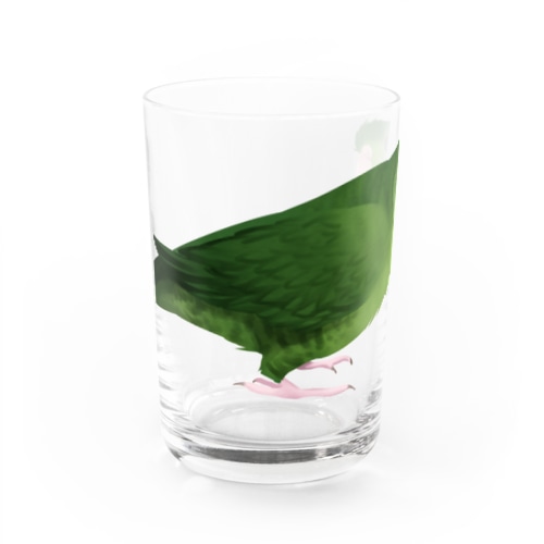 サザナミインコ　グリーン【まめるりはことり】 Water Glass