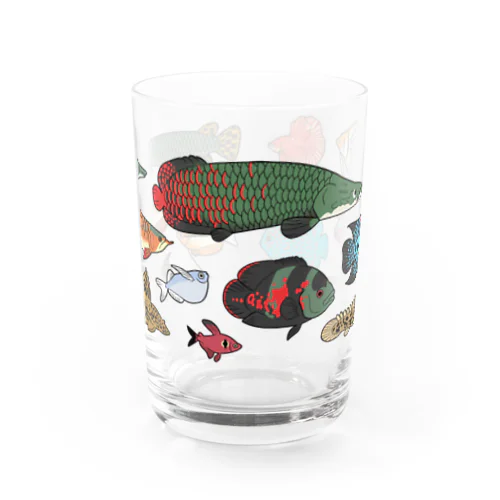 淡水！熱帯魚グラス/color Water Glass