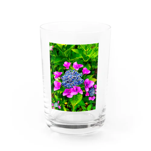 紫陽花の輝き Water Glass