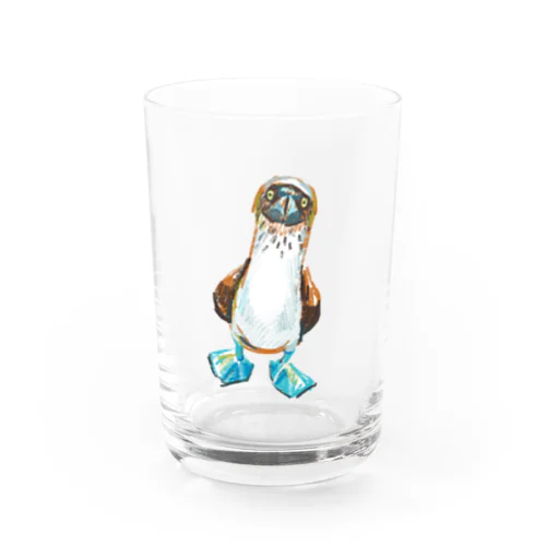 アオアシカツオドリくん Water Glass