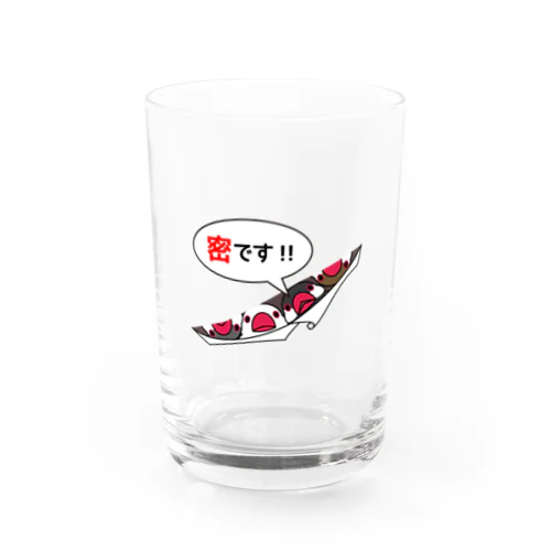 密です！フィンチさん【まめるりはことり】 Water Glass