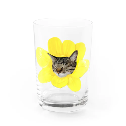 いやし花ねこ Water Glass