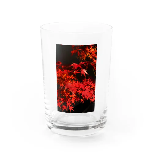 autumn leaves Water Glass