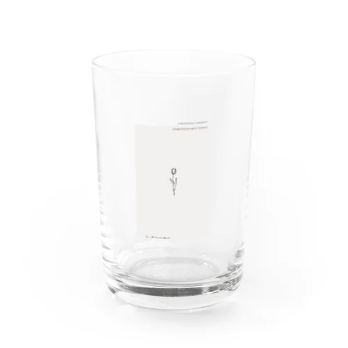 メッセージ＊線画チューリップ Water Glass