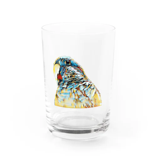 モダンインコ Water Glass