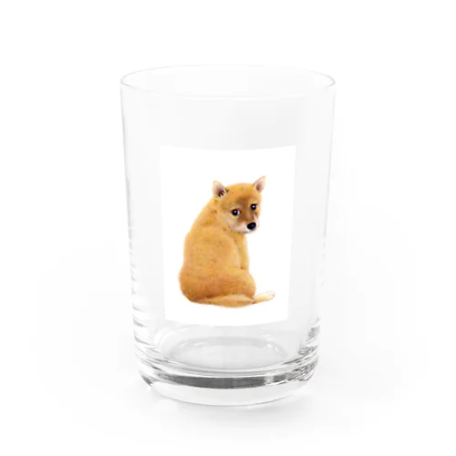 ん､呼んだ？ Water Glass