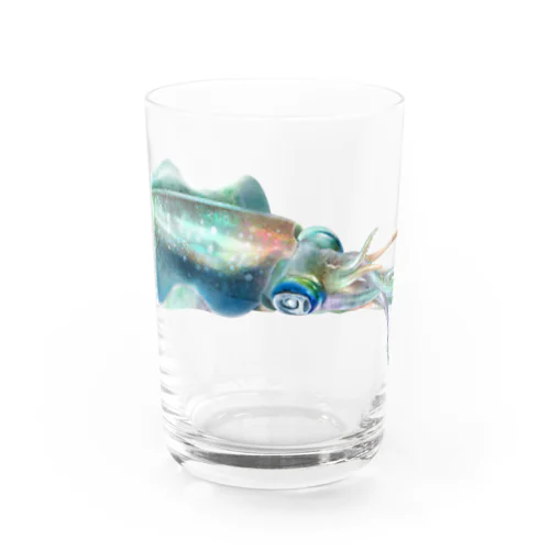 アオリイカ Water Glass