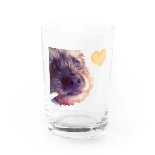 自分なりの一服╰( Ｕ ・ᴥ・)m Water Glass