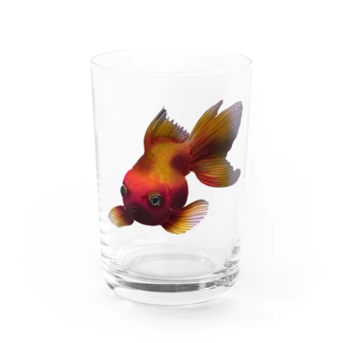 憎悪金魚 Water Glass