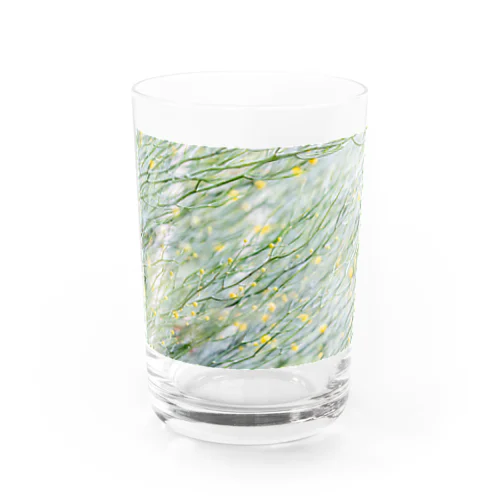 bubble Water Glass