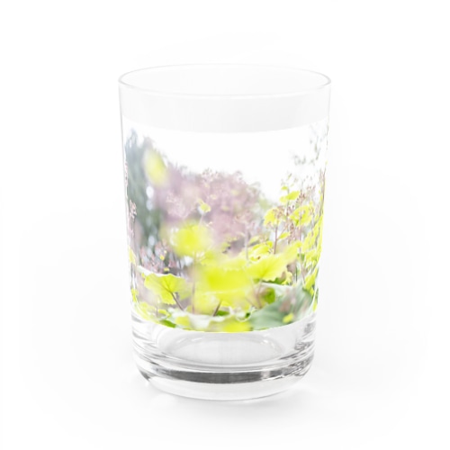 mushinoshiten Water Glass