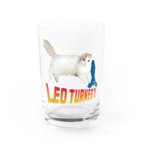 Leo cats Water Glass