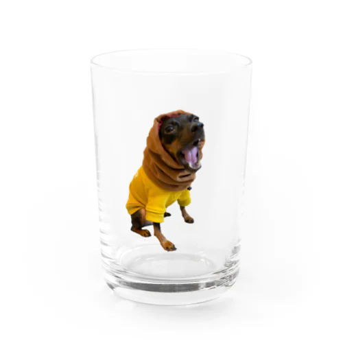 チャのあはは Water Glass