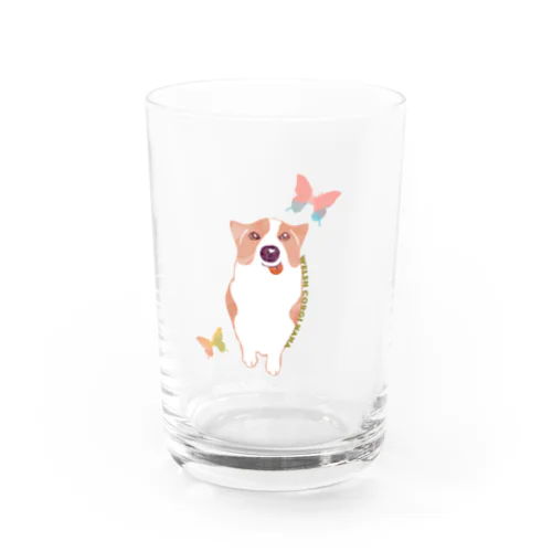 コーギー犬のナナVOL.3 グラス