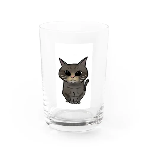 サバ猫 Water Glass