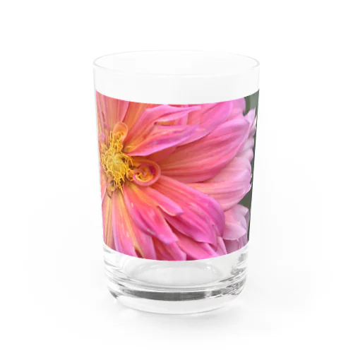 ピンクの花 Water Glass