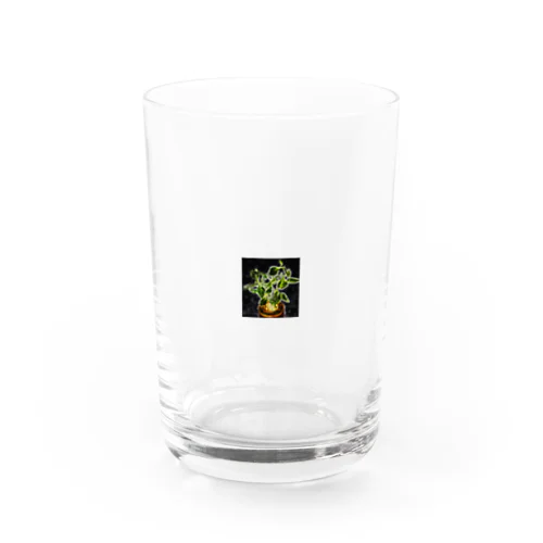 PEACE Water Glass