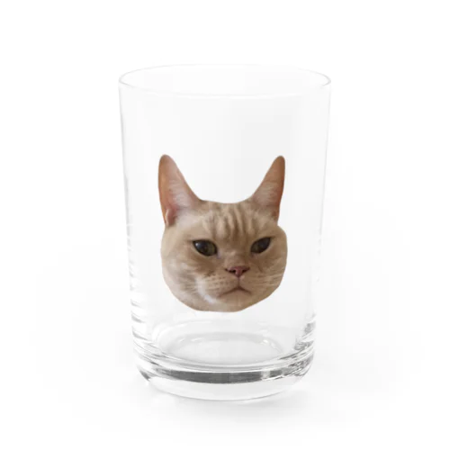 もちたろの顔 Water Glass