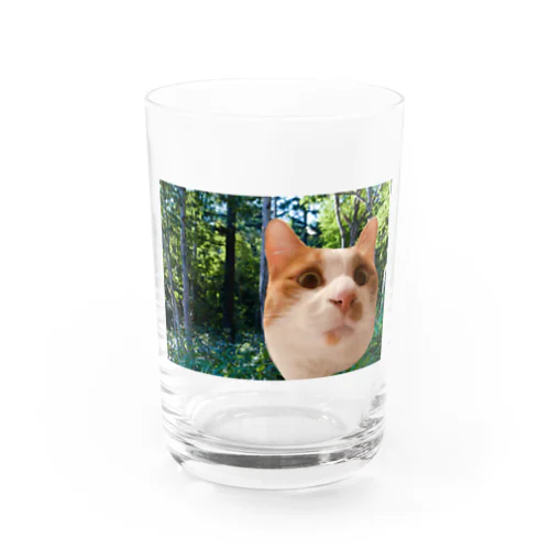 森のふーたくん Water Glass